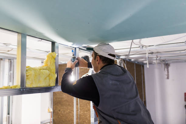Professional Insulation Contractor in Flint Hill, MO